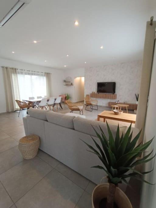 Villa Des Rives Du Tarn Avec Jacuzzi Montans Екстер'єр фото