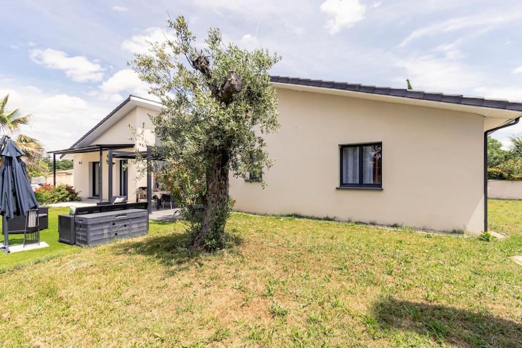 Villa Des Rives Du Tarn Avec Jacuzzi Montans Екстер'єр фото